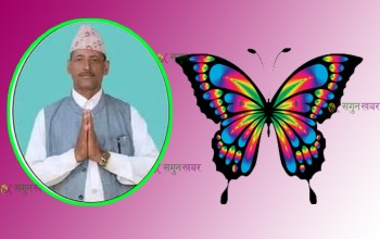 बैतडीको डिलाशैनीमा स्वतन्त्रको विजयी सुरुवात, वडा नं ४ मा  पन्त प्यानल सहित  विजयी